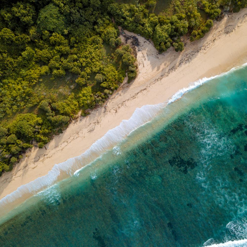 aerial view of tropical beach bali indonesia 2023 11 27 04 53 07 utc.jpg