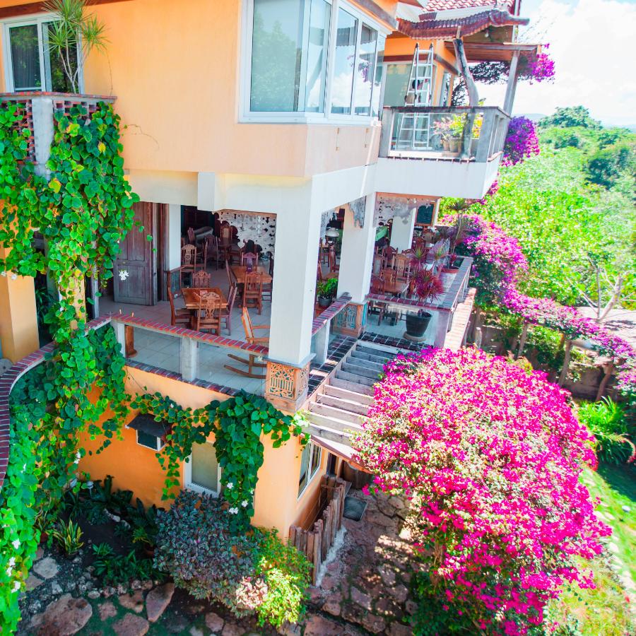 beautiful view of the garden and cozy little hotel 2023 11 27 04 58 39 utc.jpg